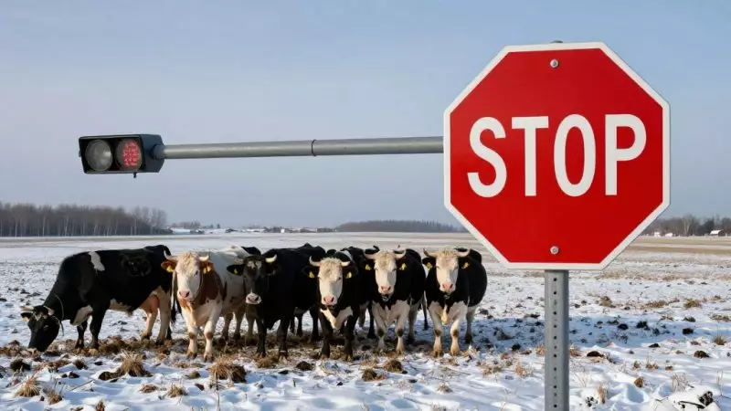 Казахстан усилил контроль на границе с Россией для защиты от ящура