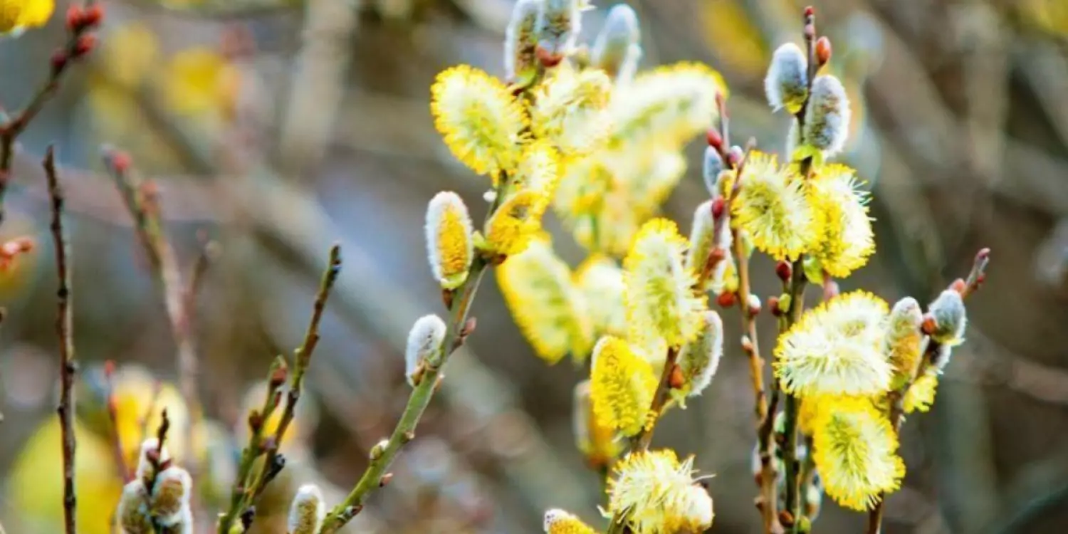 Қазақстандықтарға сәуір айында 8 күн демалыс беріледі