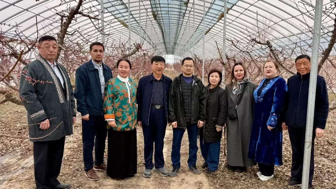 Қытайдағы іссапар: Жетісу университеті халықаралық әріптестікті кеңейтуде