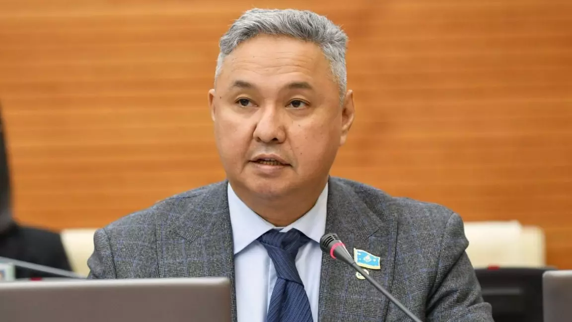 Перуашев 274-бапты қайта қарауды ұсынды