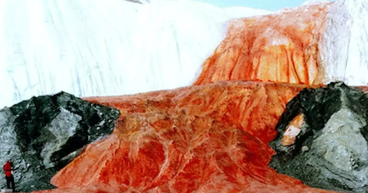  `Қан ағып жатқандай`: Антарктидада ерекше сарқырама пайда болды 