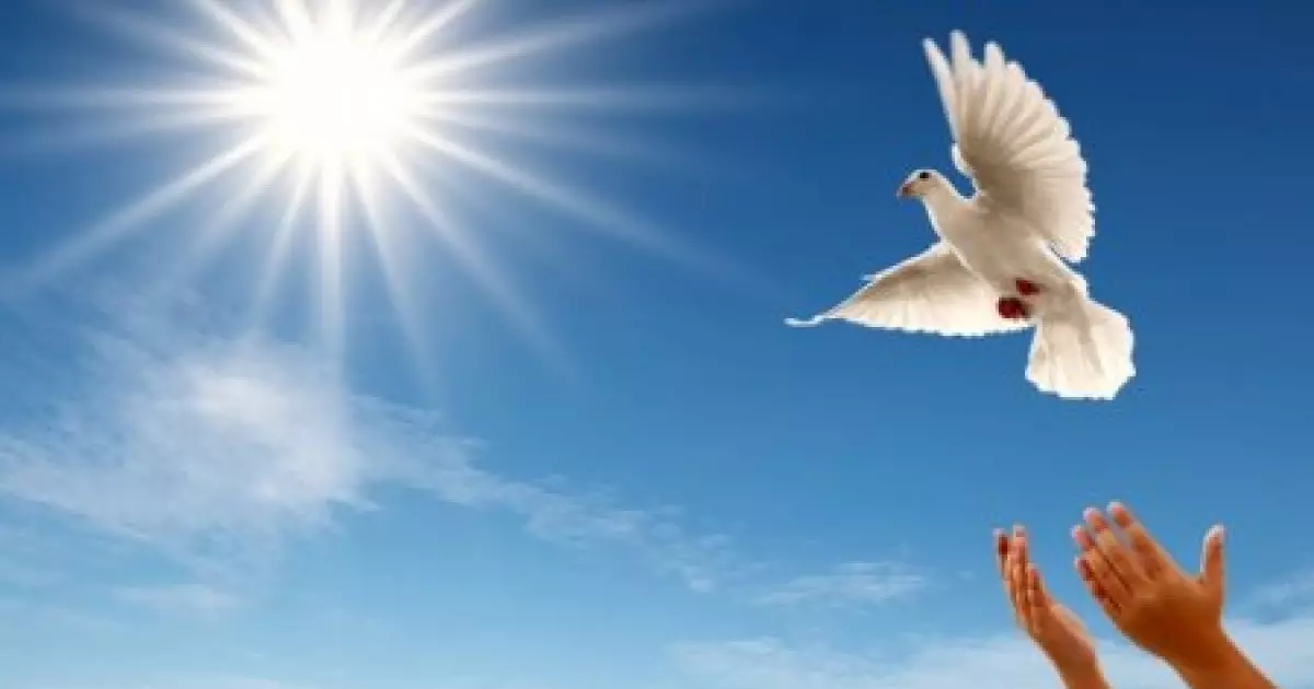  Зайырлы елдің өлшемі 