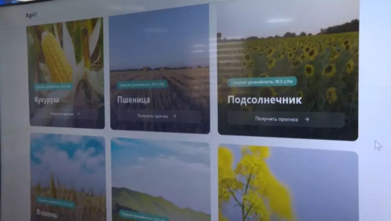 Как работает цифровой помощник аграриев