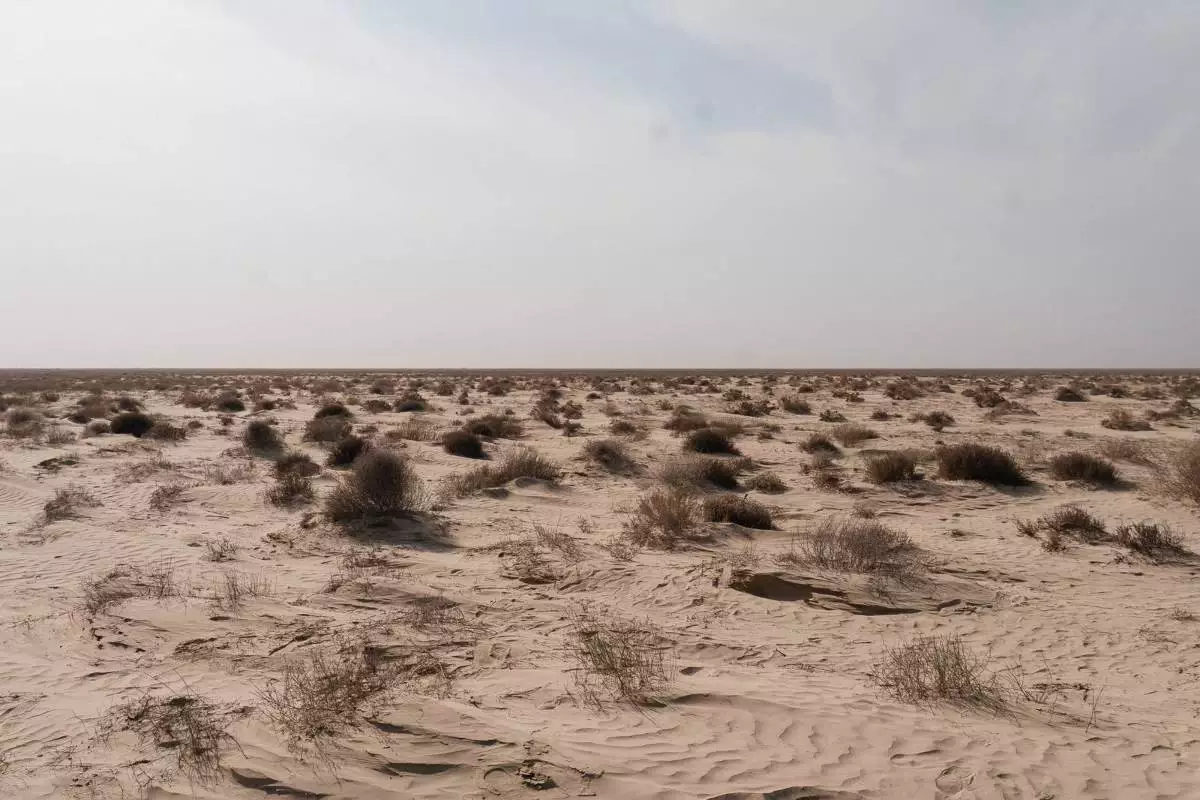 Атырауда шаңды дауылдардың алдын алу шаралары қарастырылуда