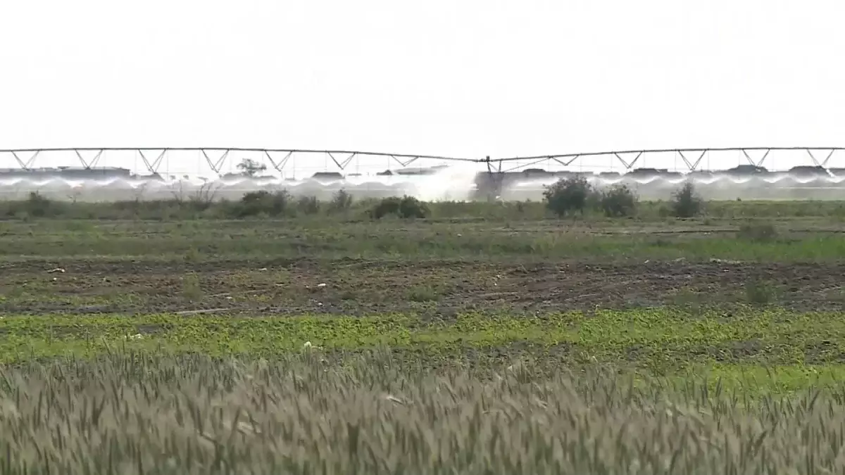 Сыр диқандары тамшылатып суаруға көшіп жатыр