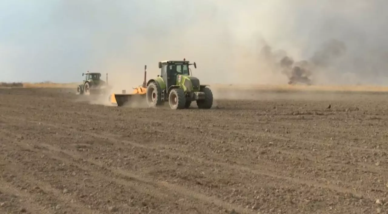 Егін егуді жасанды зерде жоспарлайды