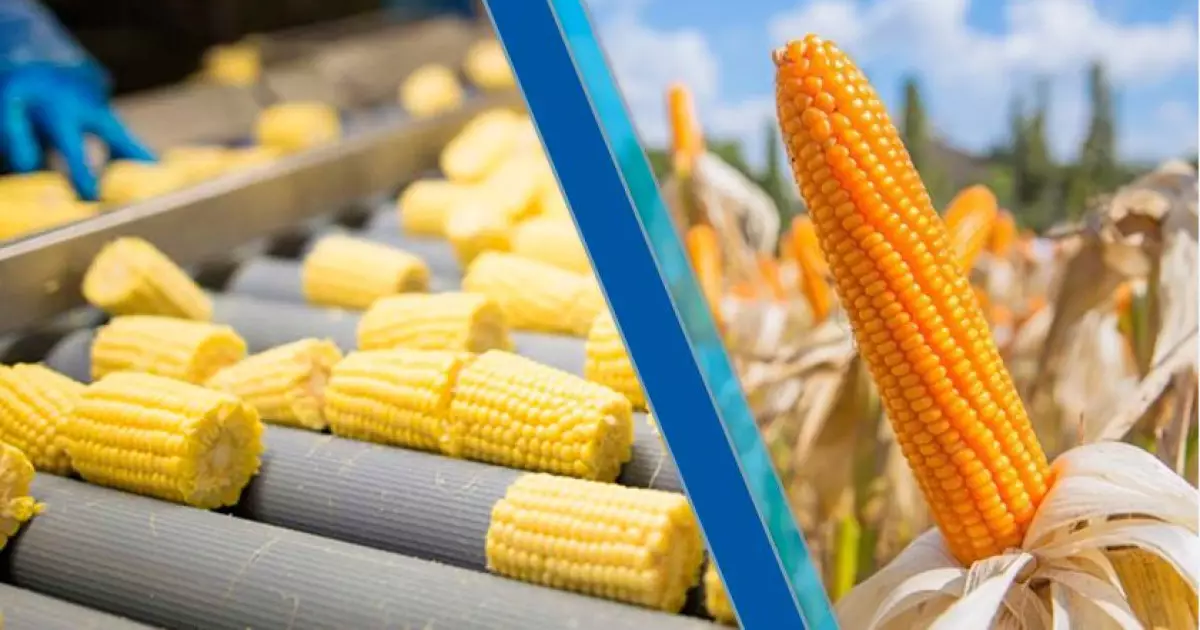   Өндірістегі оң бетбұрыс   