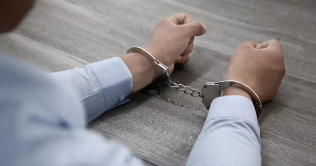  Ветеринариядағы ірі жемқорлық: Түркістанда 4 лауазымды тұлға қамауға алынды 