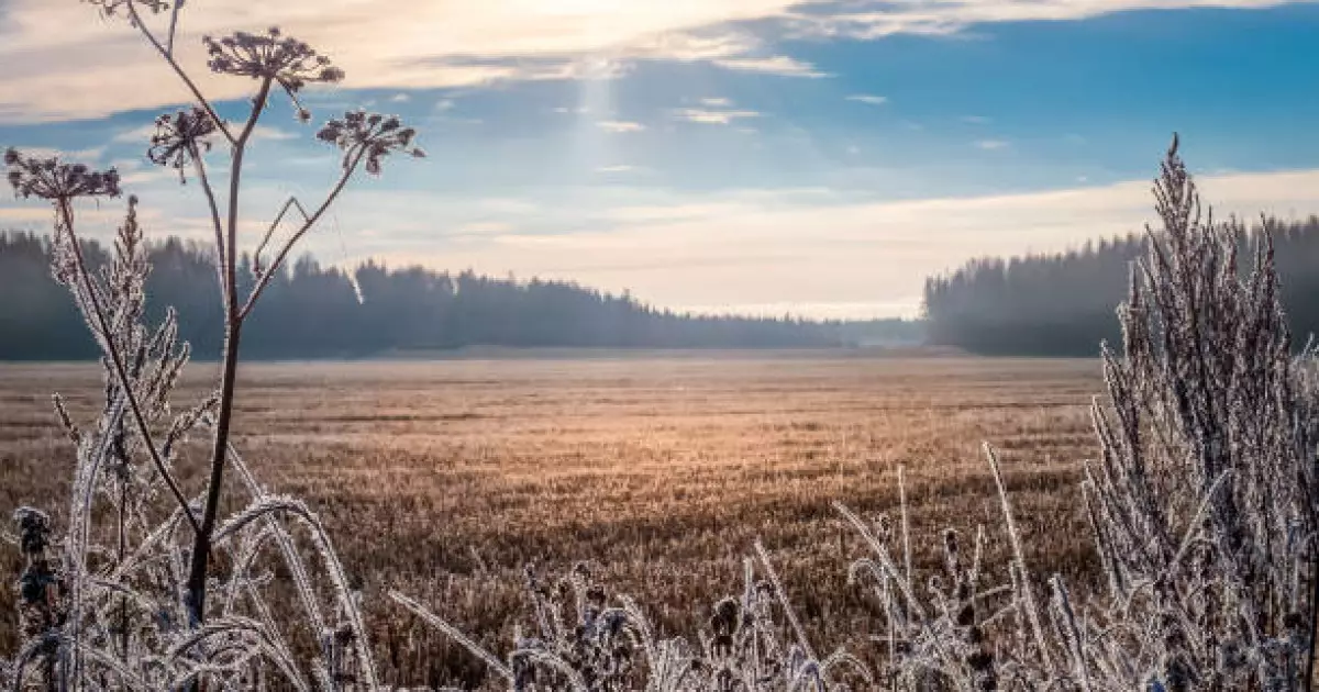   Бүгін Қазақстанның басым бөлігінде жауын-шашынсыз ауа райы күтіледі   