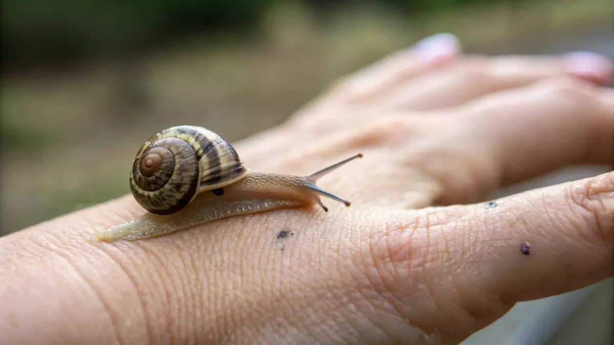 Роботы как улитки: новая технология для точной доставки лекарств от рака