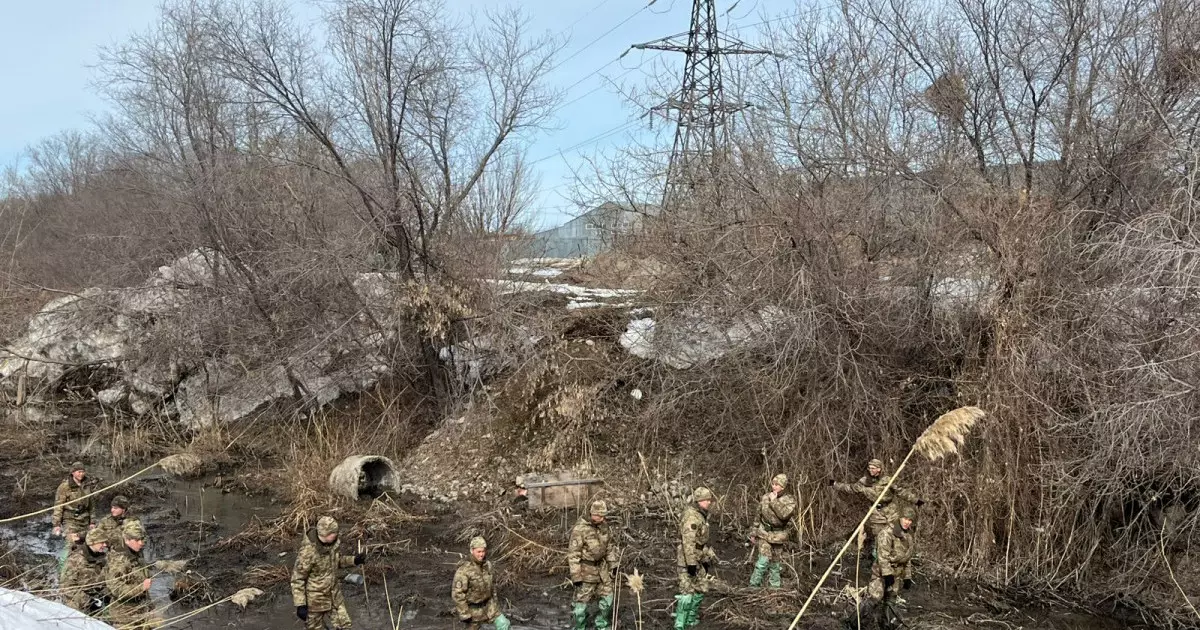  Қостанайлық ұландықтар жоғалған жасөспірімді іздеуге жұмылдырылды 