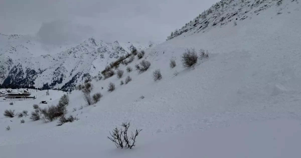  Қар көшкіні қаупі: Алматы және таулы облыстарда ескерту жарияланды 