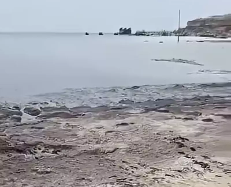 Жители Актау заподозрили слив неизвестной жидкости в Каспий
