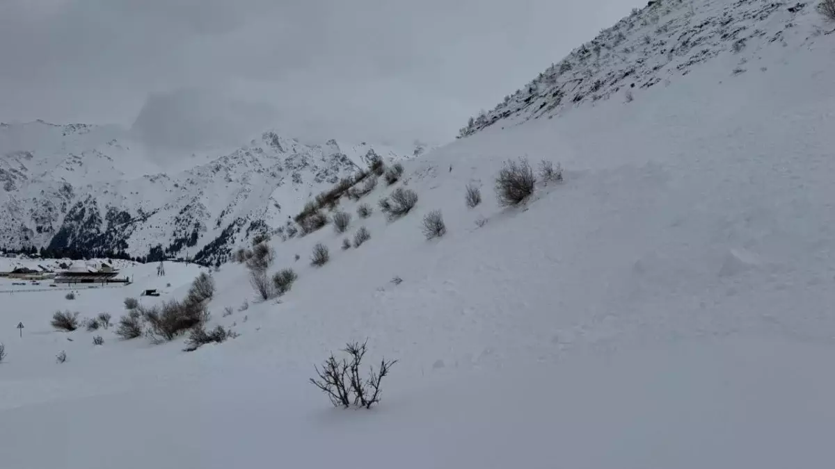 Названы регионы Казахстана с высоким риском схода снежных лавин