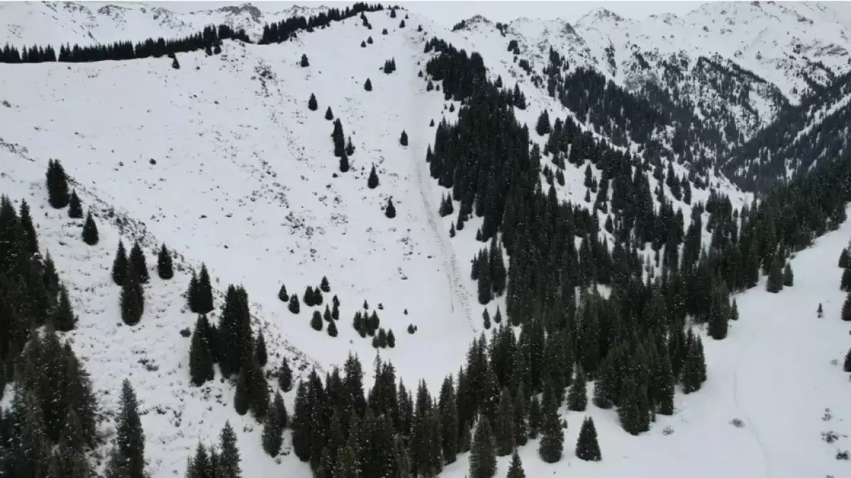 Тауға бару қауіпті: ТЖМ қазақстандықтарға маңызды ескерту жасады