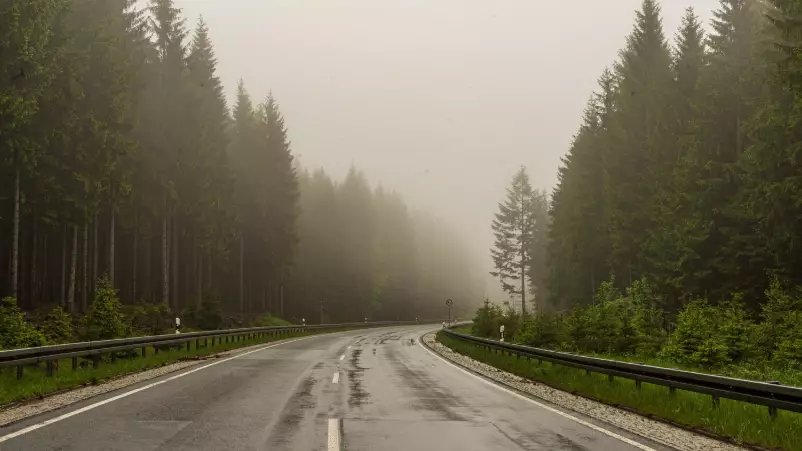 Павлодар облысында жол қозғалысына уақытша шектеу енгізілді