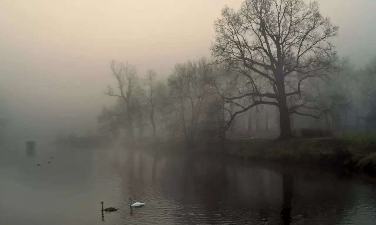 Какая погода ожидает казахстанцев 29 марта