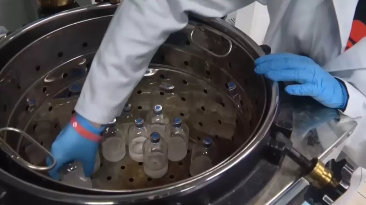 Бразилияда биоотын өндірісі қарқын алды