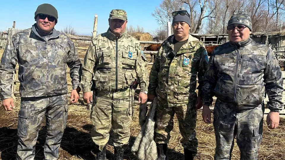 Застрял в болоте: в Зайсане спасли новорождённого жеребёнка