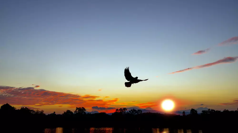 Жара до 30 градусов - прогноз погоды на 3 дня в Астане, Алматы и Шымкенте