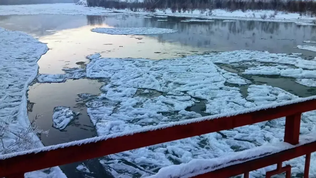 СҚО-да өзендер тасып жатыр: Су деңгейі күрт көтерілді