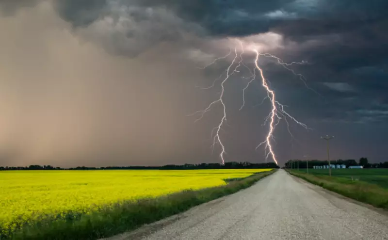 Грозы, туман и ветер: синоптики предупредили казахстанцев