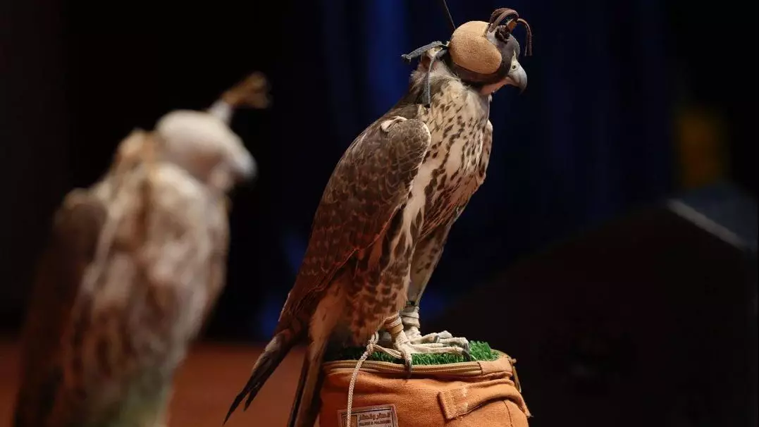 "Алтын-Емелде" сирек кездесетін ителгілер табиғатқа жіберілді