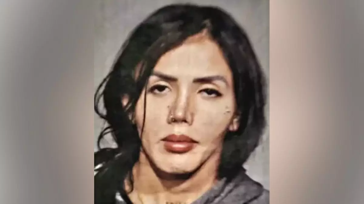 МВД критикует соглашение о признании вины, которое может освободить мигранта после признания в нападении на подростка.