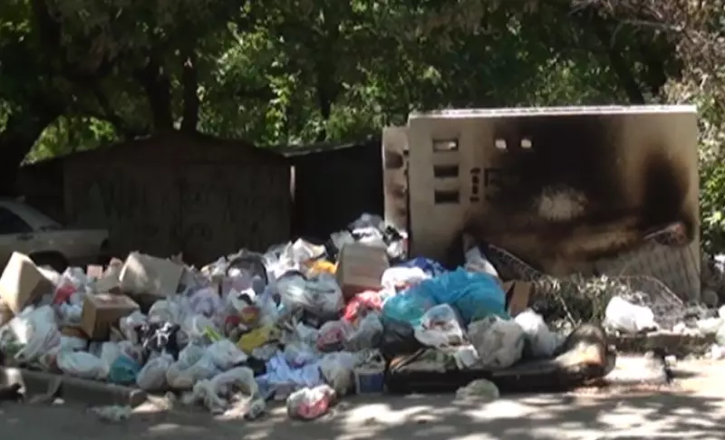 В Актобе начали выбрасывать трупы животных на мусорки