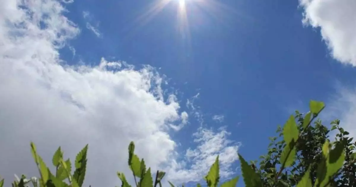  Весеннее тепло до +29°: синоптики дали прогноз по Казахстану на 30 марта 