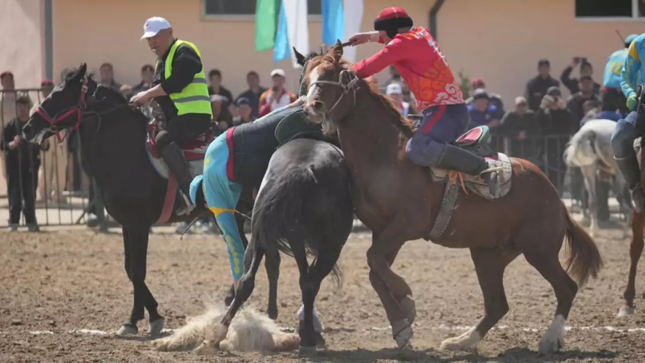 Қазақ көкпаршылары халықаралық жарыста топ жарды. LIVE