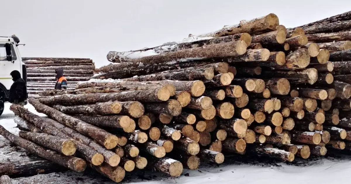   Қазақстанда ағашты таңбалау бойынша пилоттық жобаның қорытындысы шығарылды   