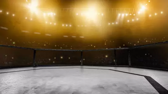 UFC может пройти в Казахстане уже этим летом