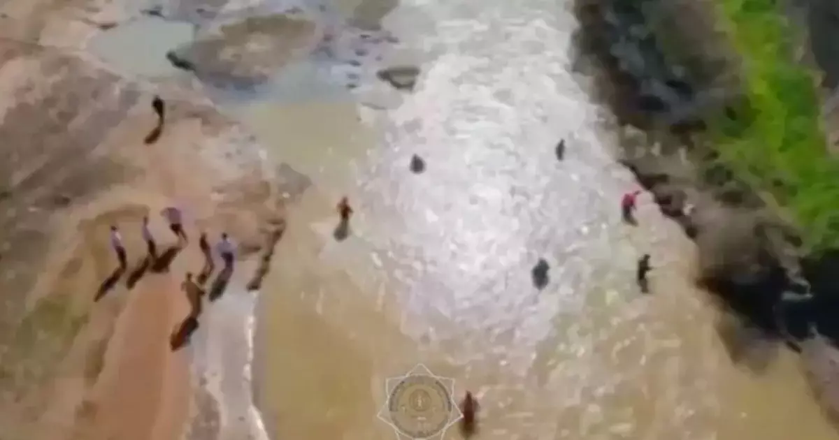  Түркістан облысында құтқарушылар бір апта бойы суға батқан баланы іздестіріп жатыр 