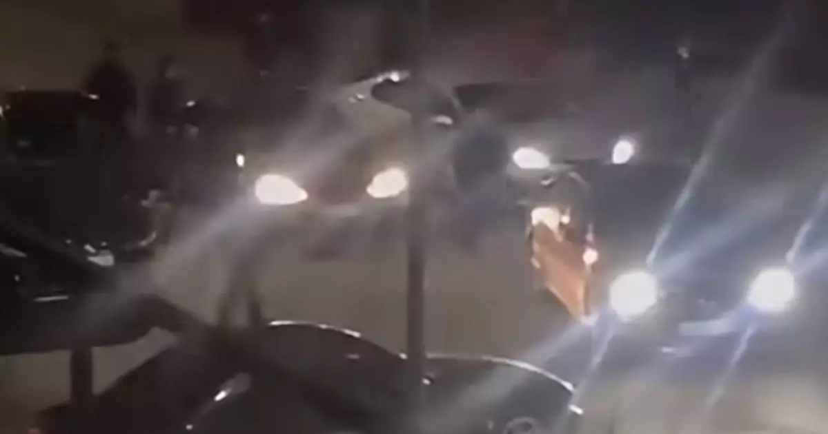  Полиция применила оружие, чтобы разнять массовую разборку в Алматинской области 