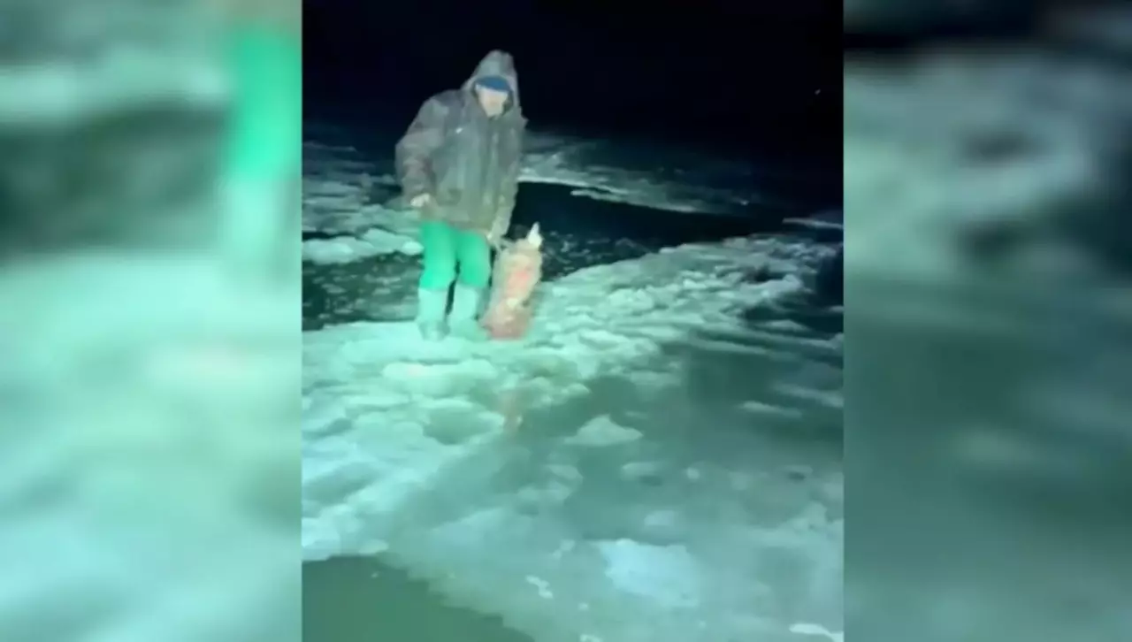 Петропавлда ер адам су ортасында қалып қойды