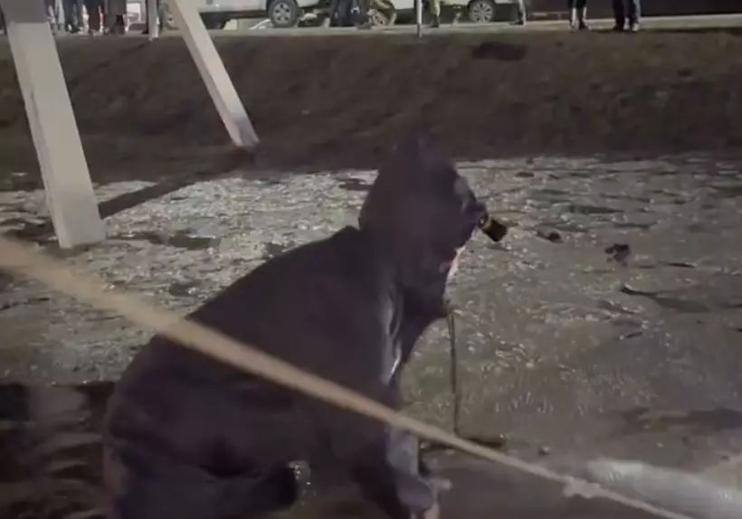 Қостанай облысында бірнеше ауданды су басты