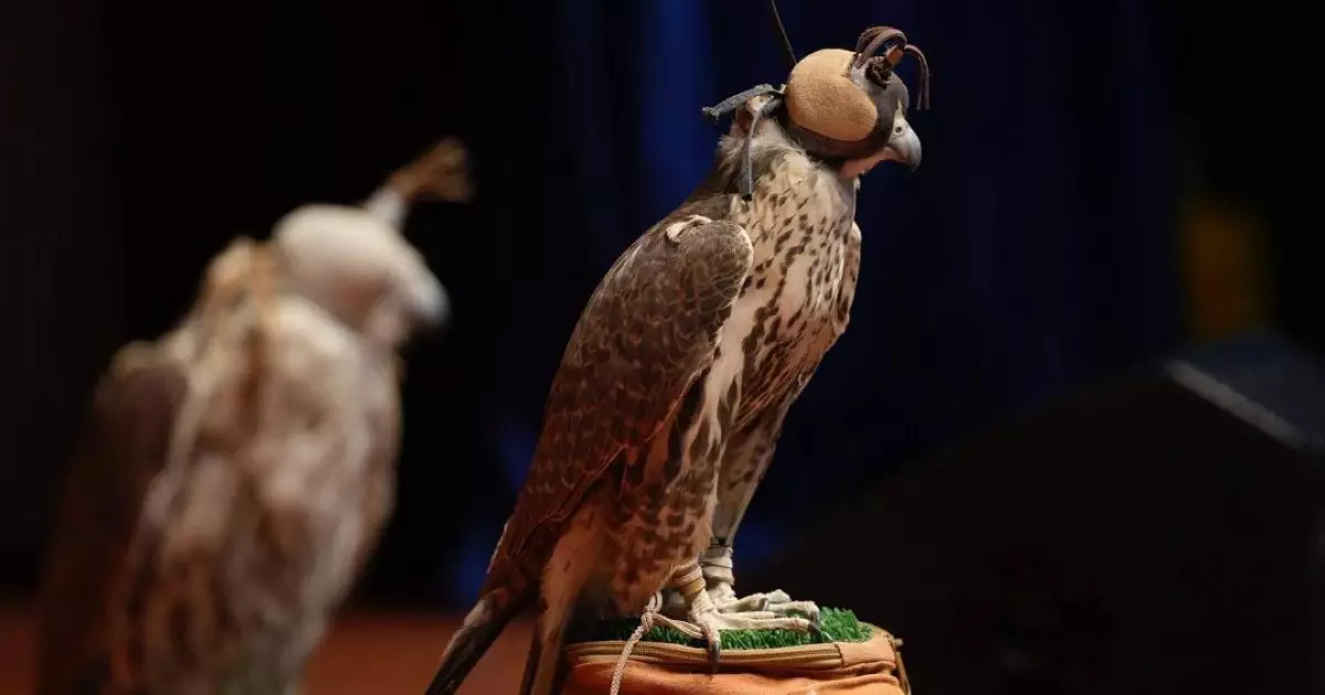   Жетісу өңірінде ителгіні табиғи ортаға қосу іс-шарасы өтті   