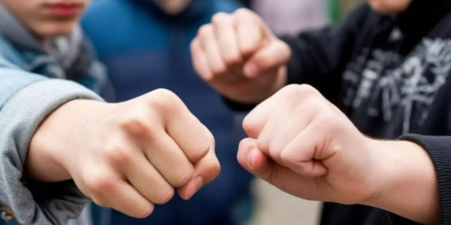 Алматы облысында жаппай төбелес болды: полиция оқ атты (ВИДЕО)