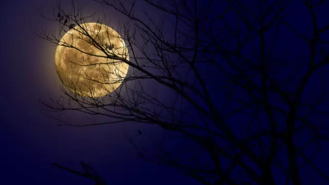 Редкое полнолуние в апреле: что важно знать