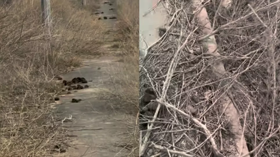 "Тазалыққа бөлінген қаржы қайда?": Атырау әкімдігі халық шағымына жауап берді