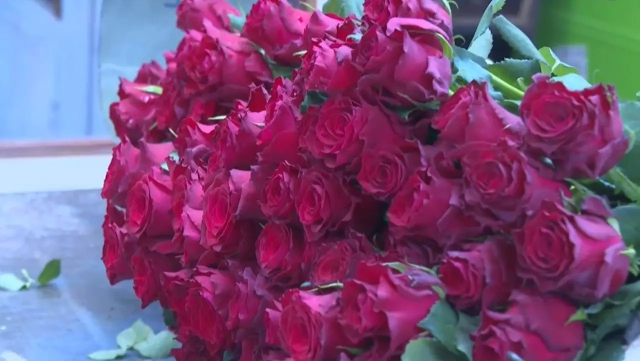 Конфликт на Ближнем Востоке парализовал экспорт цветов из Восточной Африки