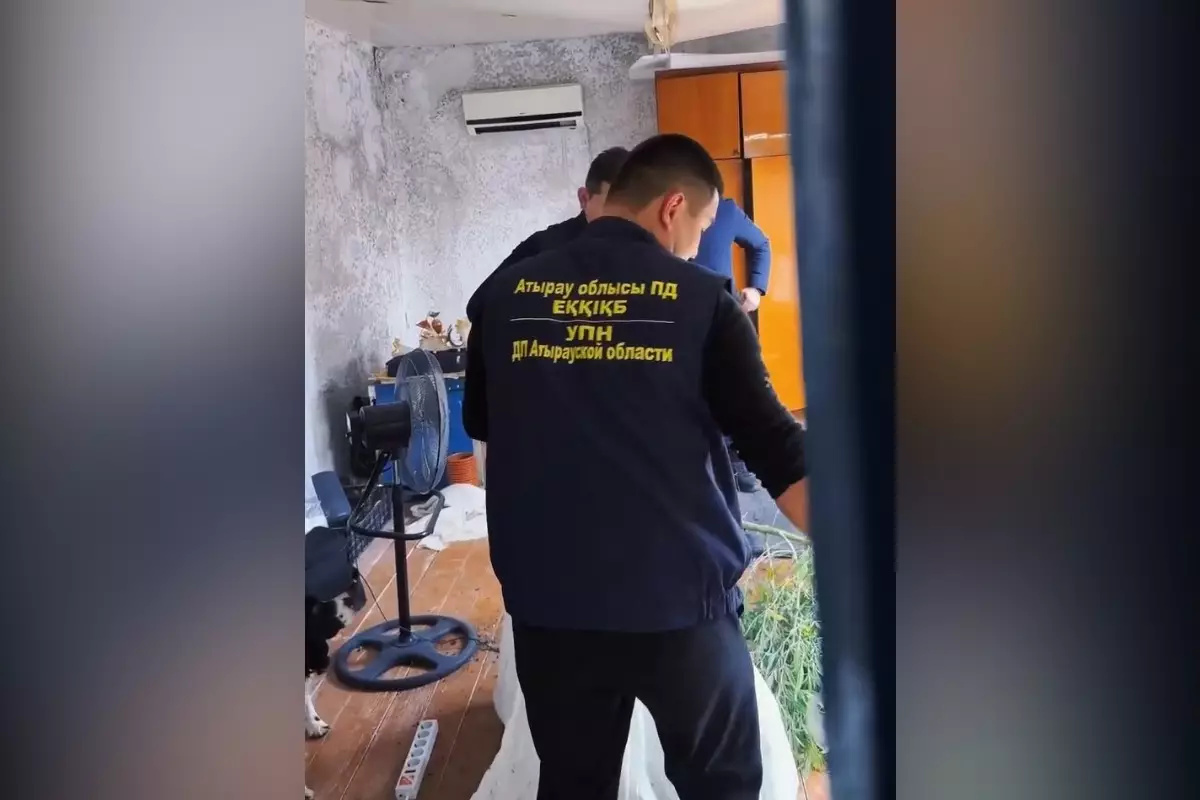 Во дворе жителя Атырау нашли 62 куста конопли