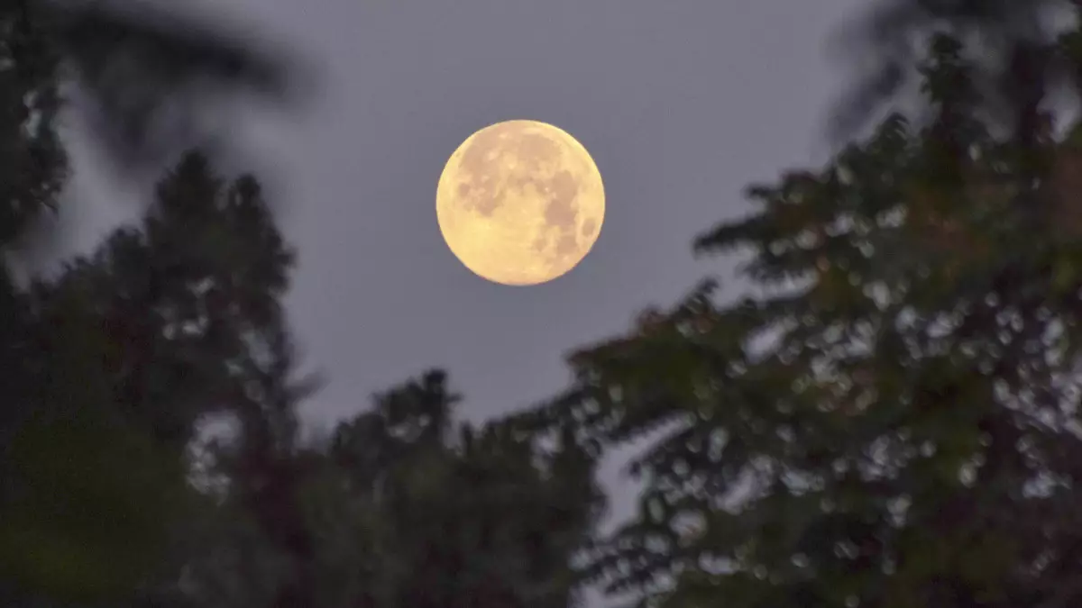 1 сәуірде аспанда "Қызғылт Ай" көрінеді: Сирек құбылыс туралы нені білу маңызды?