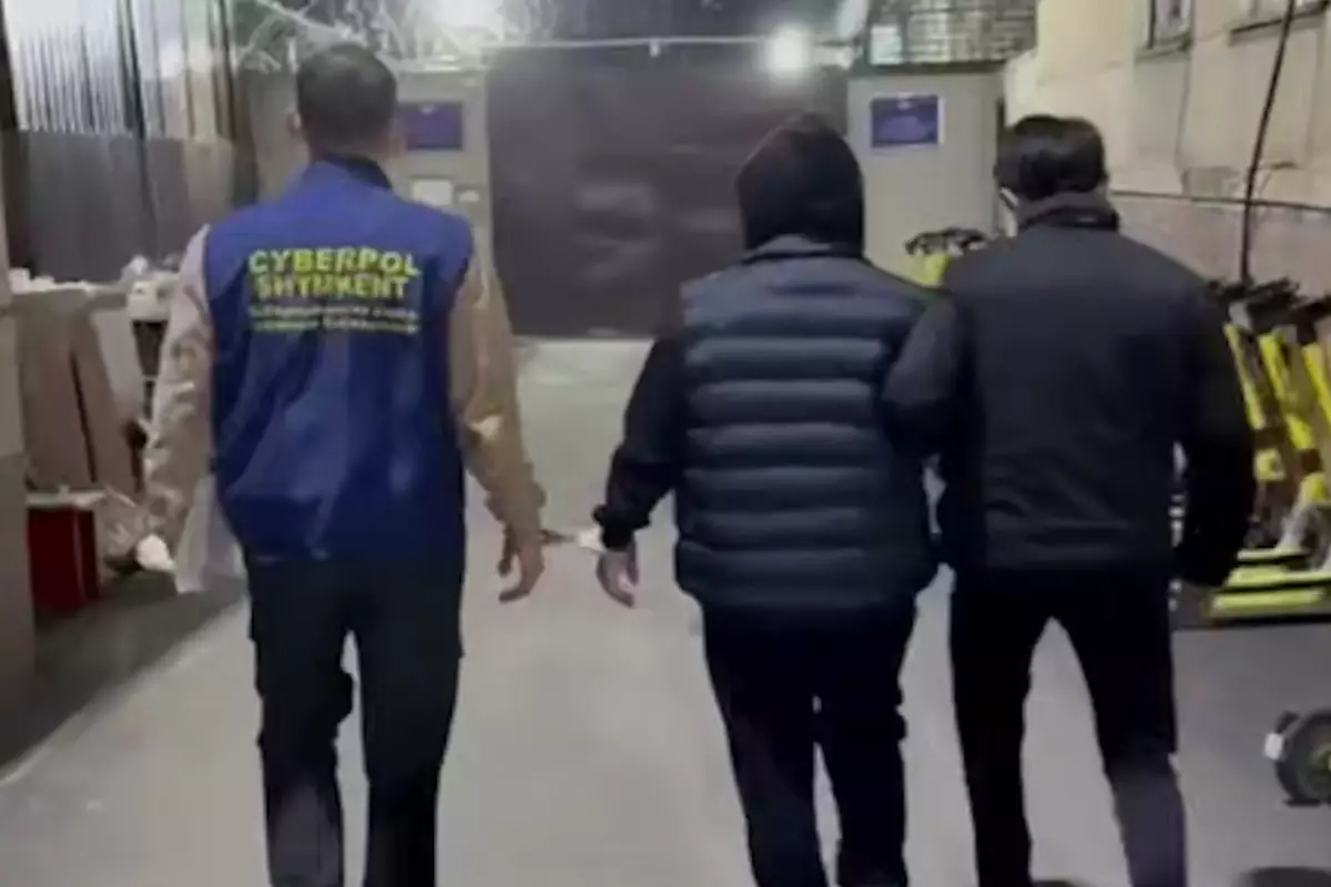 «Права под ключ» через TikTok: в Шымкенте раскрыли крупную схему