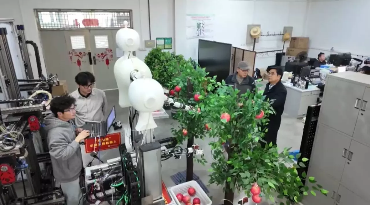 Жеміс жинайтын робот бағбан