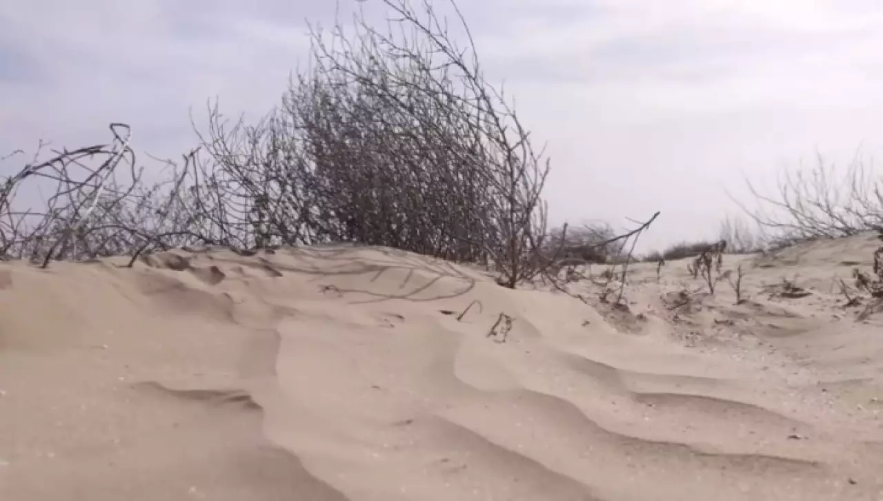 Причины участившихся пыльных бурь выясняют экологи