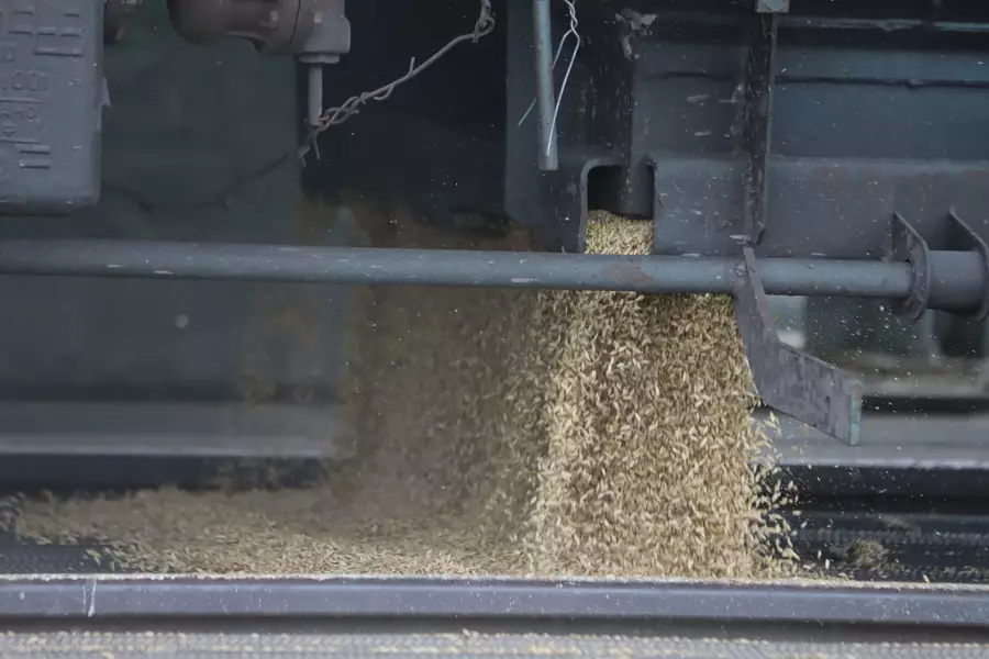 Казахстан вернет России груженые зерном вагоны.