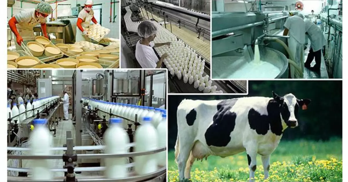   Өнімі мол, өңдеуі аз...   