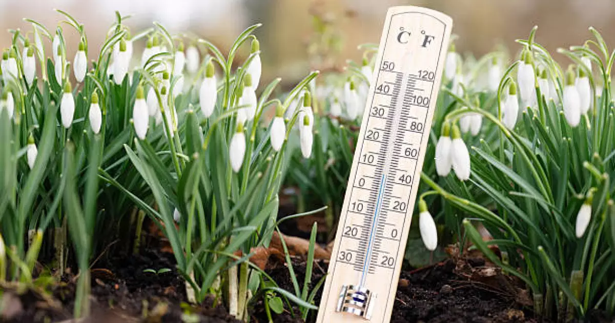   Алдағы үш күнге арналған ауа-райы болжамы жарияланды   